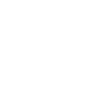 Next Arrow