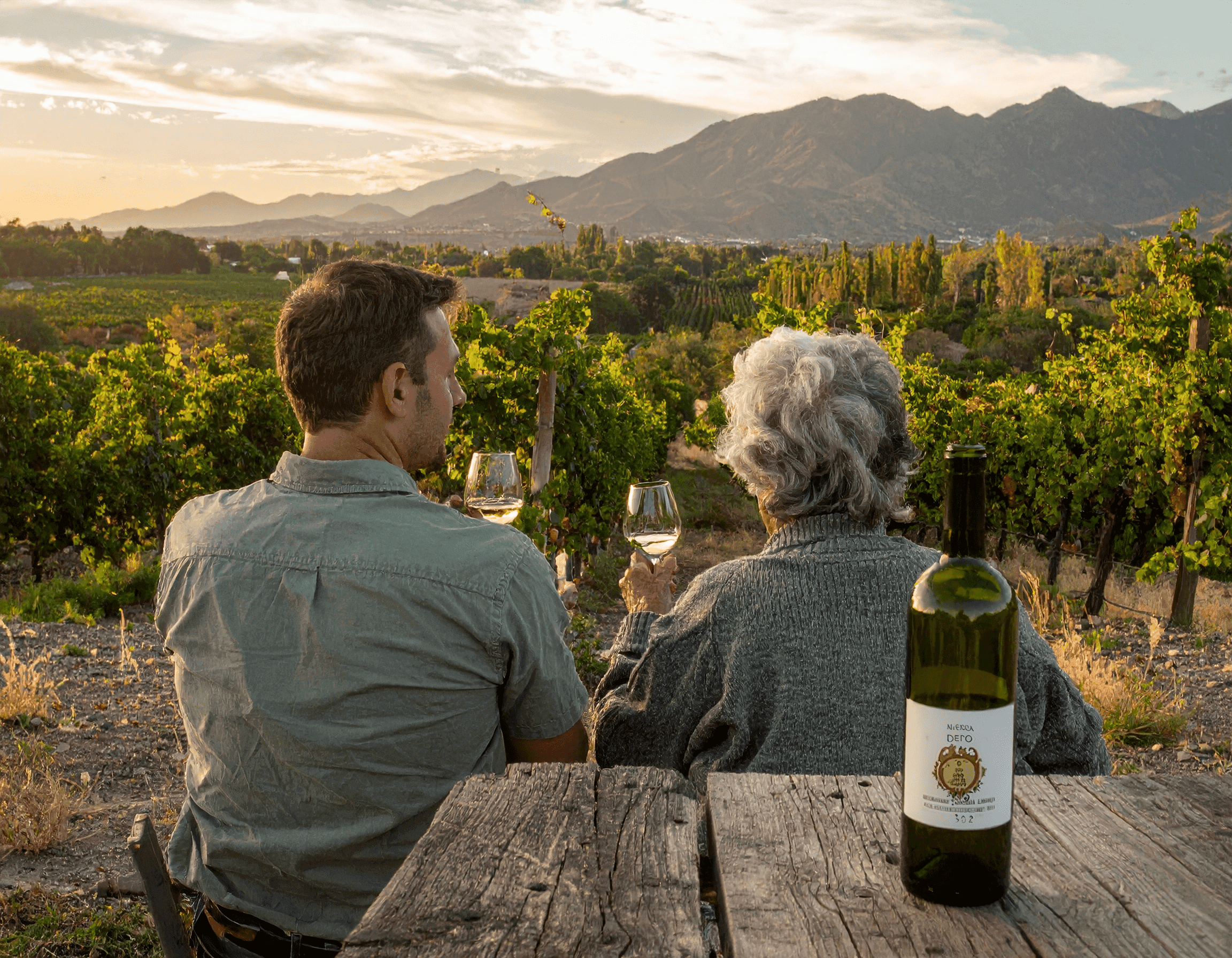Nieto y abuela observando un viñedo