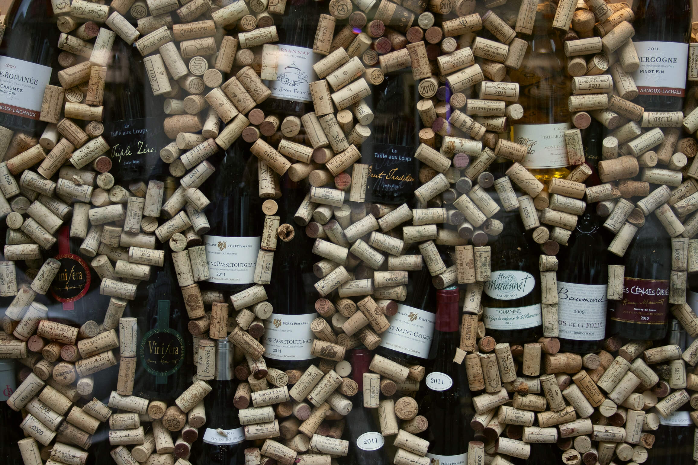 Pared con varias botellas de vino y corchos.